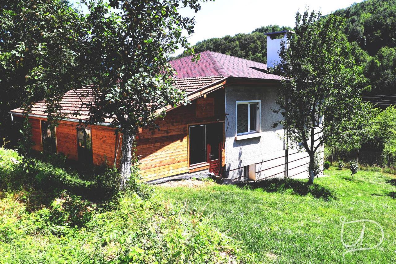 Вила Ирена Radevtsi المظهر الخارجي الصورة